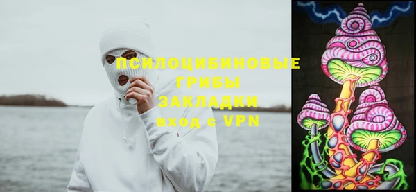 индика Фурманов