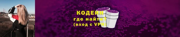 индика Фурманов